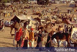 Pushkar Fair